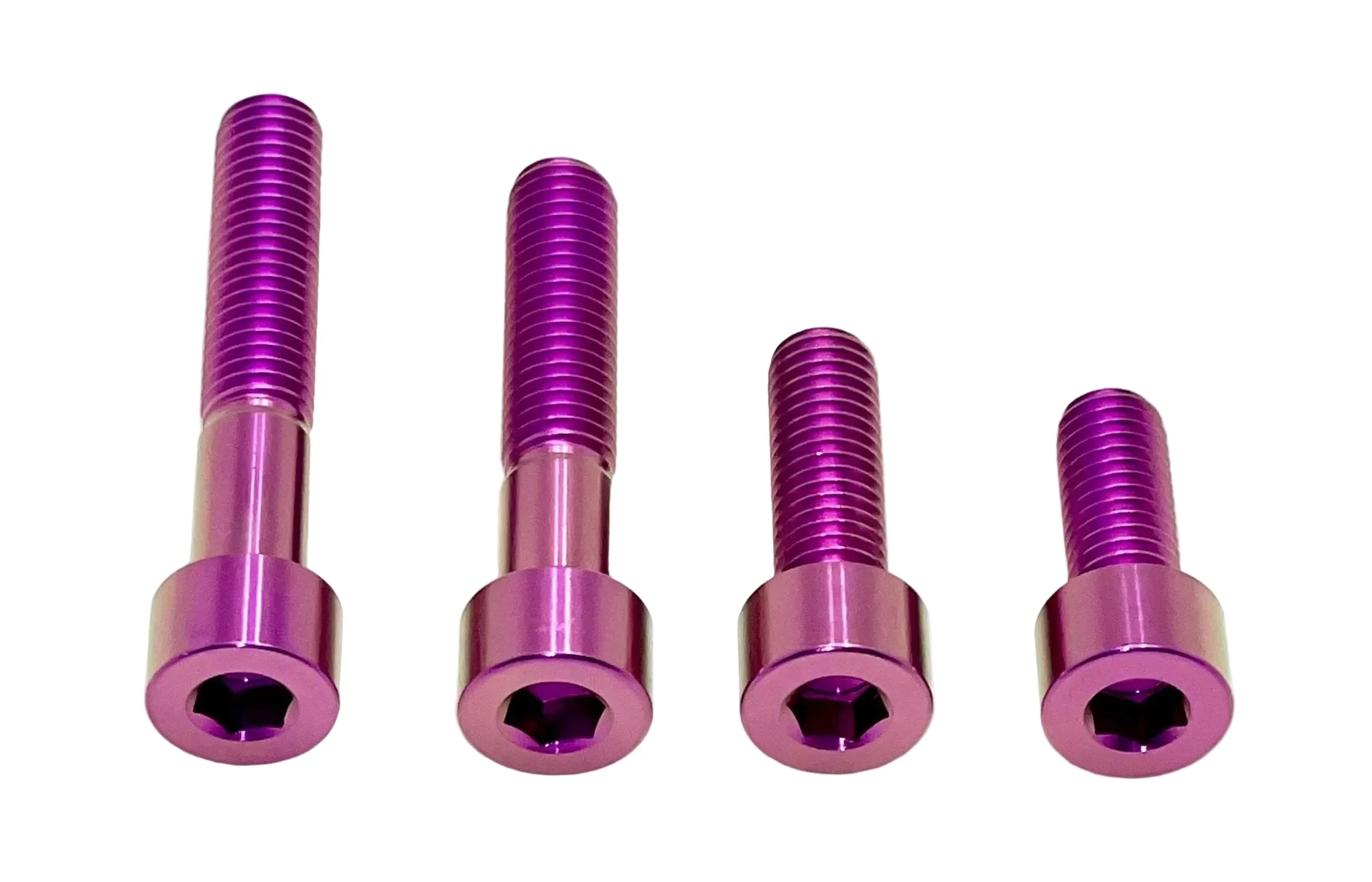 Titanium Motor Bolts - Surron LBS LBX, Segway X160 X260